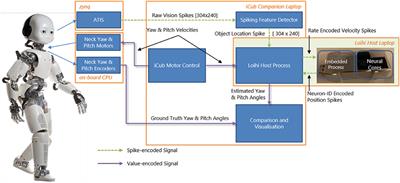 An On-chip Spiking Neural Network for Estimation of the Head Pose of the iCub Robot